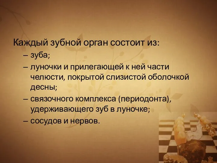 Каждый зубной орган состоит из: зуба; луночки и прилегающей к ней части