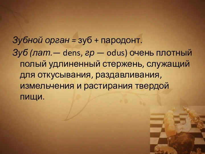 Зубной орган = зуб + пародонт. Зуб (лат.— dens, гр — odus)