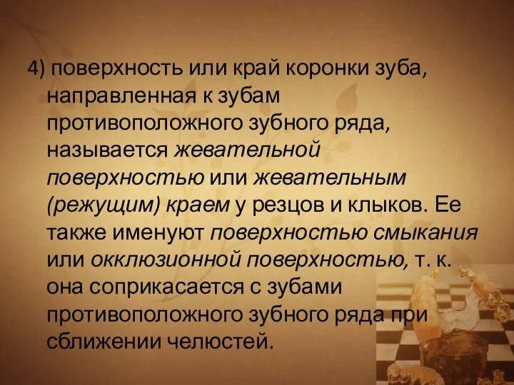 4) поверхность или край коронки зуба, направленная к зубам противоположного зубного ряда,