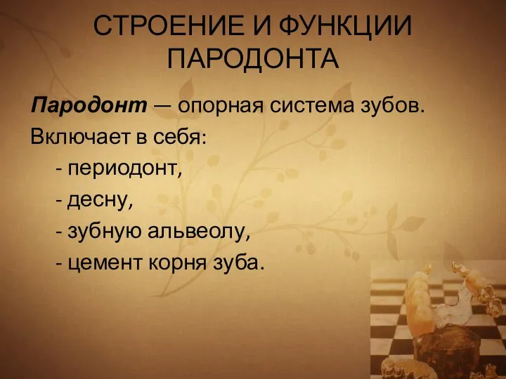 СТРОЕНИЕ И ФУНКЦИИ ПАРОДОНТА Пародонт — опорная система зубов. Включает в себя: