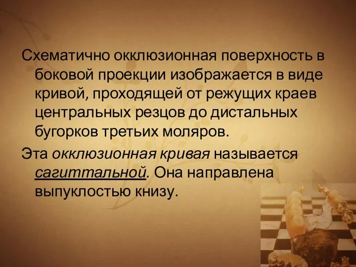 Схематично окклюзионная поверхность в боковой проекции изображается в виде кривой, проходящей от