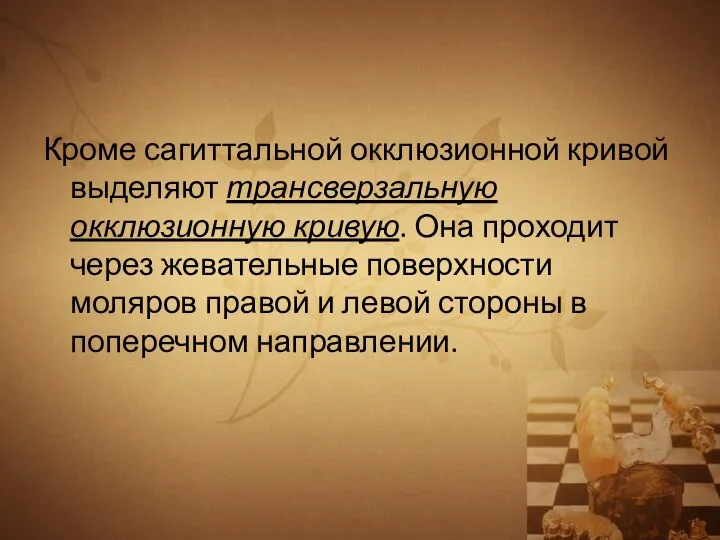 Кроме сагиттальной окклюзионной кривой выделяют трансверзальную окклюзионную кривую. Она проходит через жевательные