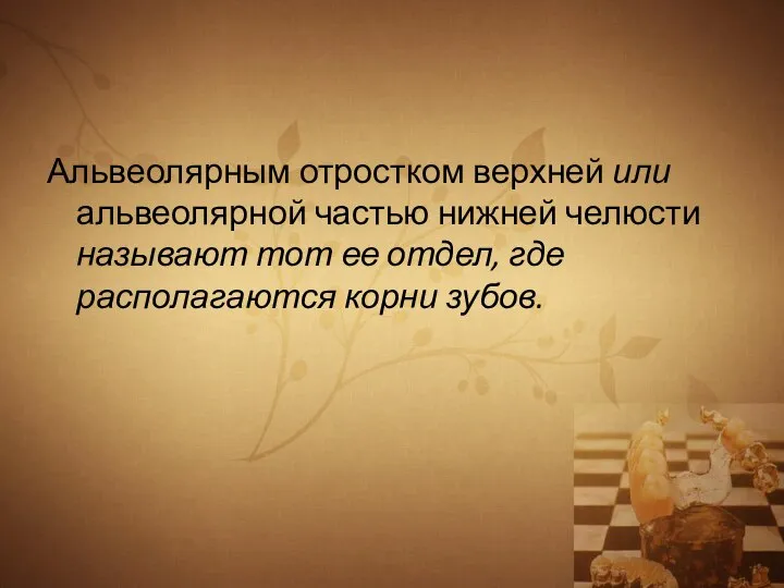 Альвеолярным отростком верхней или альвеолярной частью нижней челюсти называют тот ее отдел, где располагаются корни зубов.