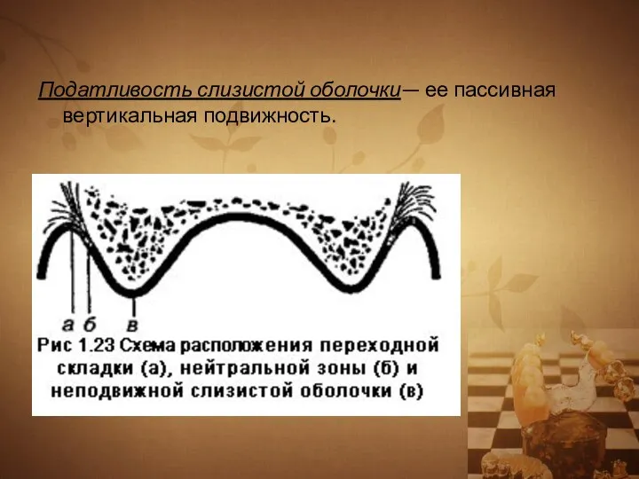 Податливость слизистой оболочки— ее пассивная вертикальная подвижность.