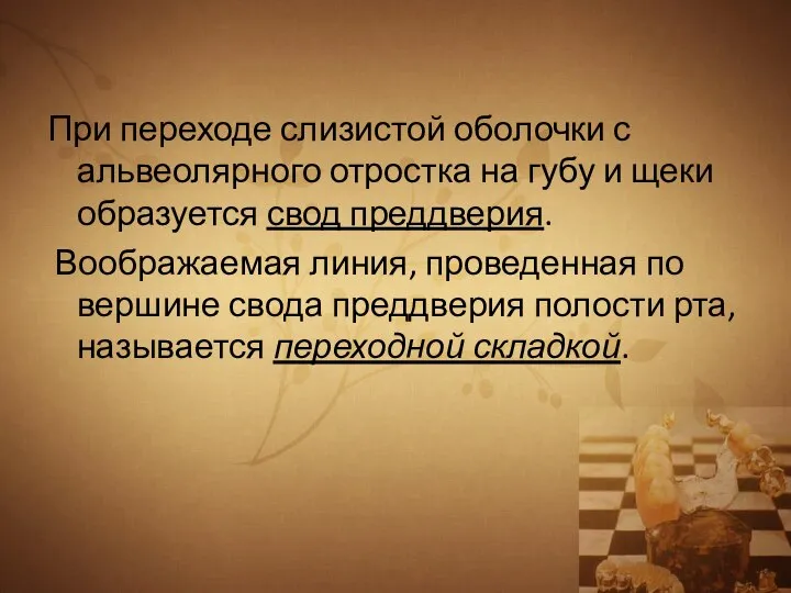 При переходе слизистой оболочки с альвеолярного отростка на губу и щеки образуется