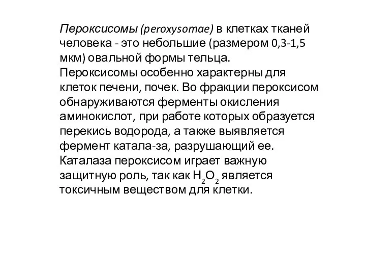 Пероксисомы (peroxysomae) в клетках тканей человека - это небольшие (размером 0,3-1,5 мкм)