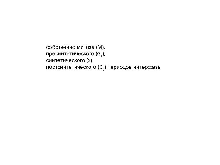 собственно митоза (М), пресинтетического (G1), синтетического (S) постсинтетического (G2) периодов интерфазы