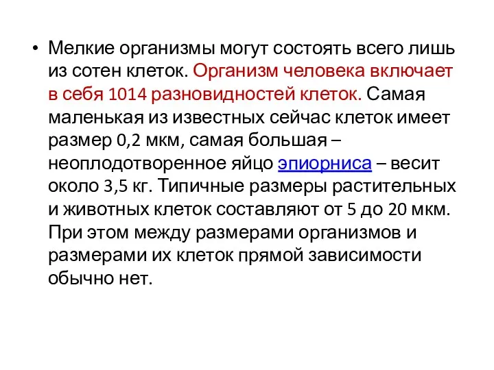 Мелкие организмы могут состоять всего лишь из сотен клеток. Организм человека включает