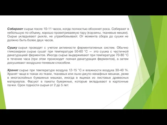 Собирают сырье после 10-11 часов, когда полностью обсохнет роса. Собирают в небольшую