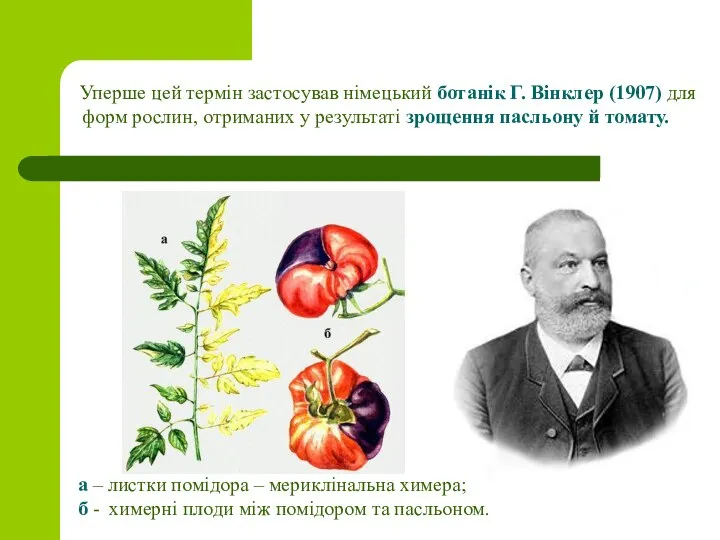 Уперше цей термін застосував німецький ботанік Г. Вінклер (1907) для форм рослин,