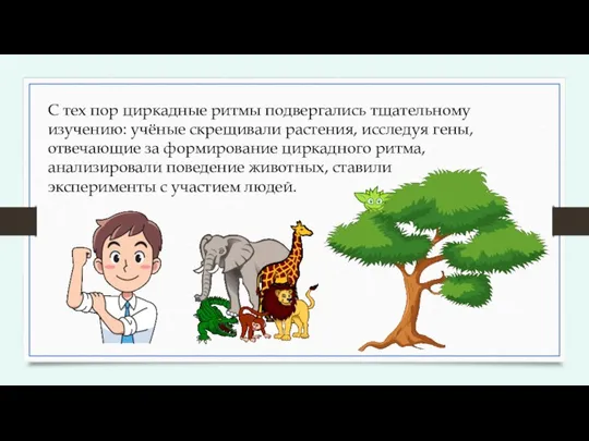 С тех пор циркадные ритмы подвергались тщательному изучению: учёные скрещивали растения, исследуя