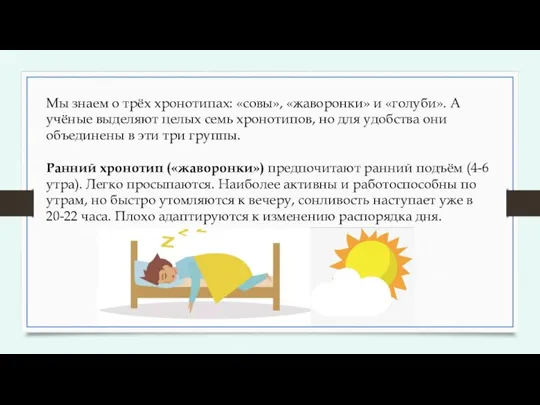 Мы знаем о трёх хронотипах: «совы», «жаворонки» и «голуби». А учёные выделяют