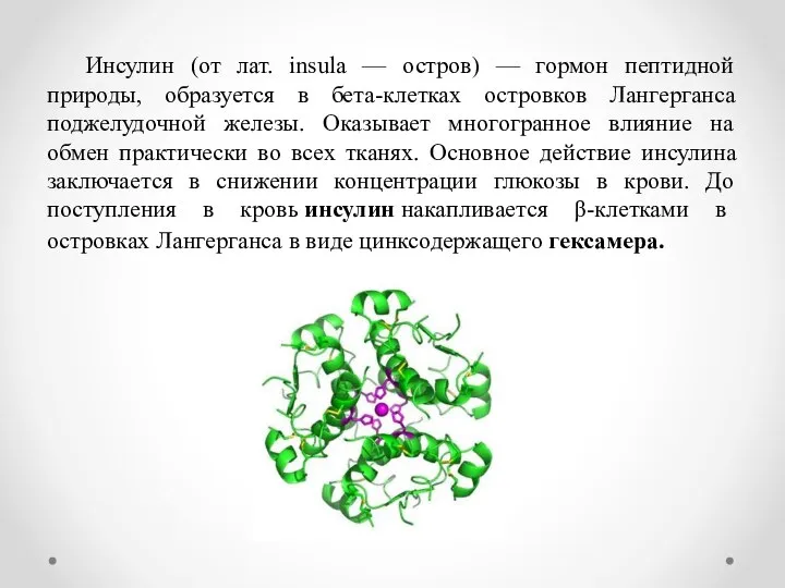 Инсулин (от лат. insula — остров) — гормон пептидной природы, образуется в