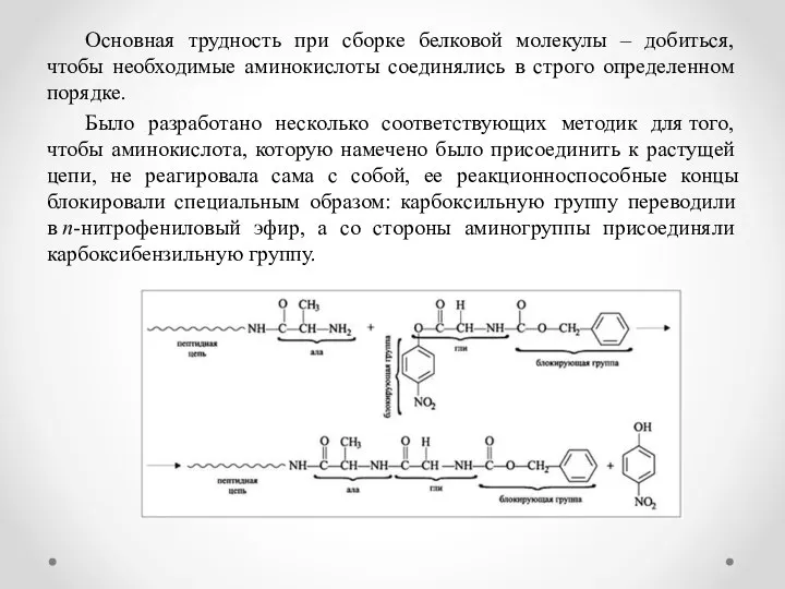 Основная трудность при сборке белковой молекулы – добиться, чтобы необходимые аминокислоты соединялись