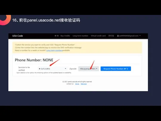 16、前往panel.usacode.net接收验证码