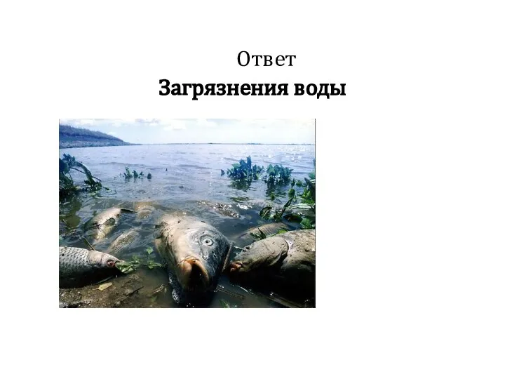 Ответ Загрязнения воды