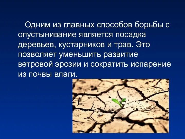 Одним из главных способов борьбы с опустынивание является посадка деревьев, кустарников и