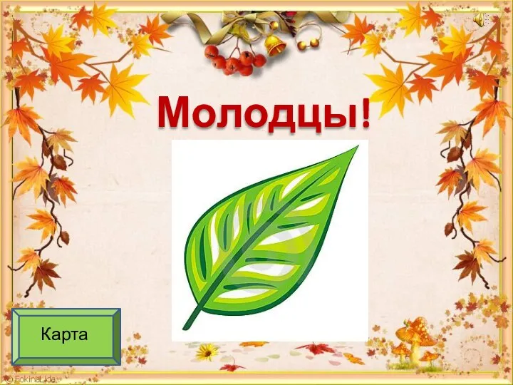 Молодцы! Карта