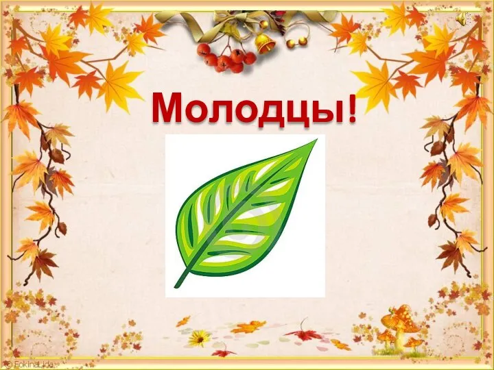 Молодцы!