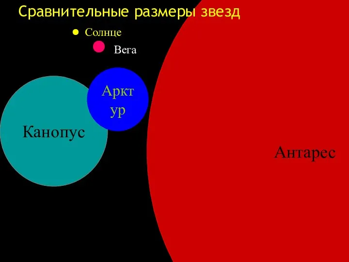 Антарес Сравнительные размеры звезд Канопус Арктур Солнце Вега