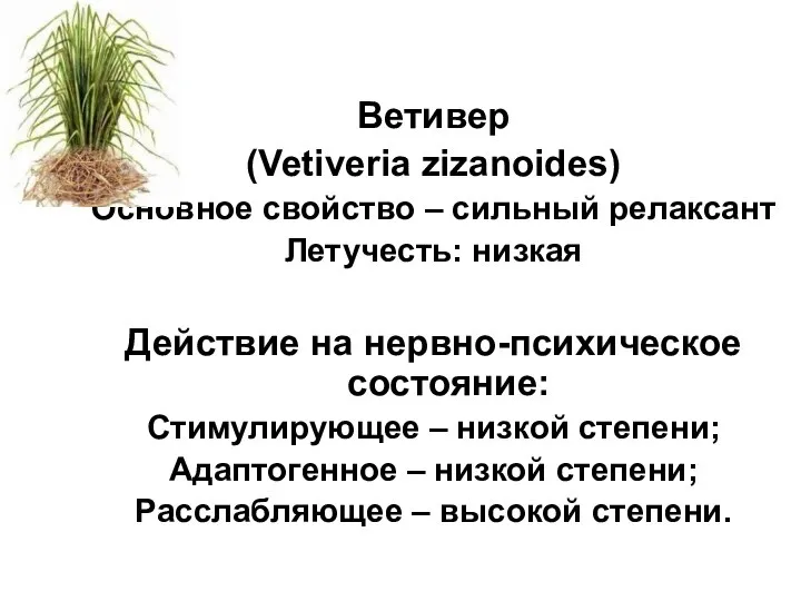 Ветивер (Vetiveria zizanoides) Основное свойство – сильный релаксант Летучесть: низкая Действие на