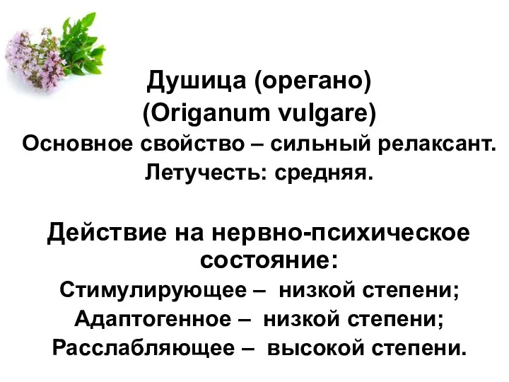 Душица (орегано) (Origanum vulgare) Основное свойство – сильный релаксант. Летучесть: средняя. Действие