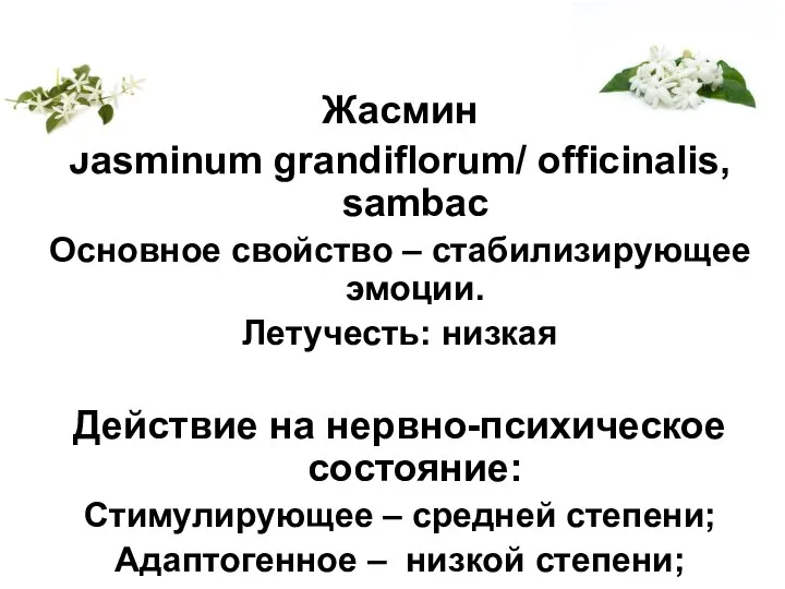 Жасмин Jasminum grandiflorum/ officinalis, sambac Основное свойство – стабилизирующее эмоции. Летучесть: низкая