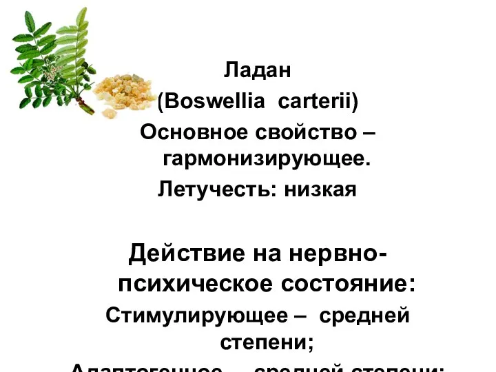 Ладан (Boswellia carterii) Основное свойство – гармонизирующее. Летучесть: низкая Действие на нервно-психическое
