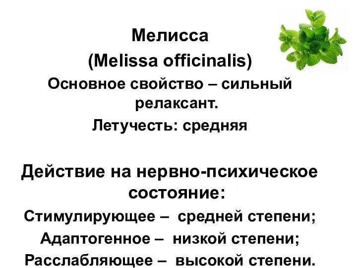 Мелисса (Melissa officinalis) Основное свойство – сильный релаксант. Летучесть: средняя Действие на