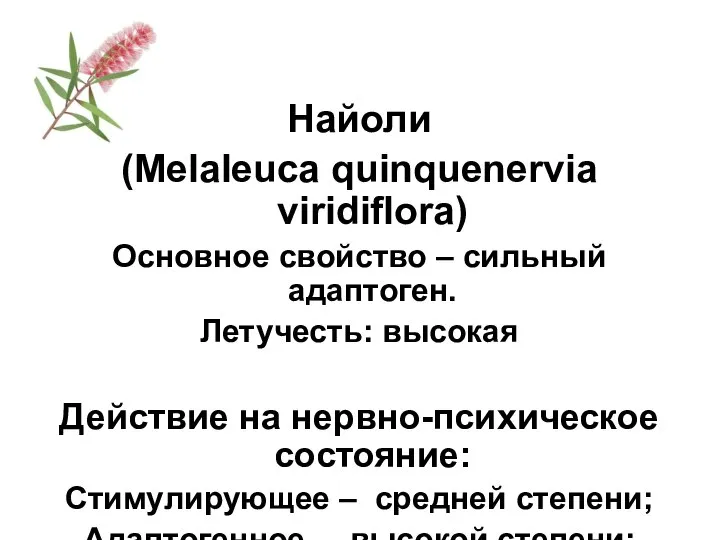 Найоли (Melaleuca quinquenervia viridiflora) Основное свойство – сильный адаптоген. Летучесть: высокая Действие