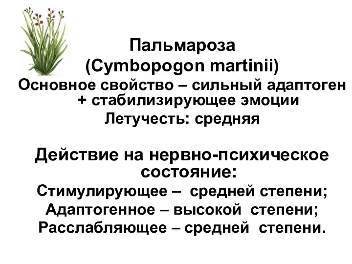 Пальмароза (Cymbopogon martinii) Основное свойство – сильный адаптоген + стабилизирующее эмоции Летучесть: