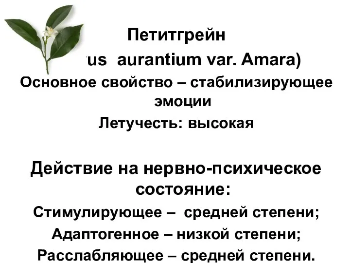 Петитгрейн (Citrus aurantium var. Amara) Основное свойство – стабилизирующее эмоции Летучесть: высокая