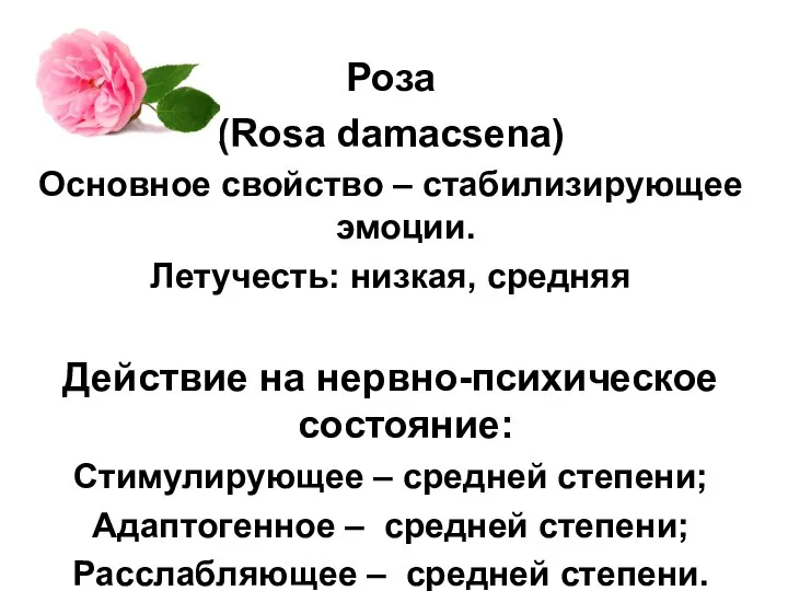 Роза (Rosa damacsena) Основное свойство – стабилизирующее эмоции. Летучесть: низкая, средняя Действие