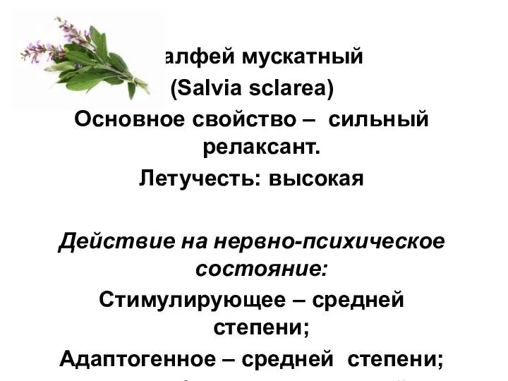 Шалфей мускатный (Salvia sclarea) Основное свойство – сильный релаксант. Летучесть: высокая Действие