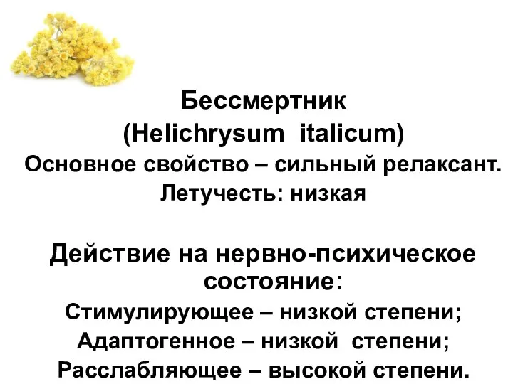 Бессмертник (Helichrysum italicum) Основное свойство – сильный релаксант. Летучесть: низкая Действие на