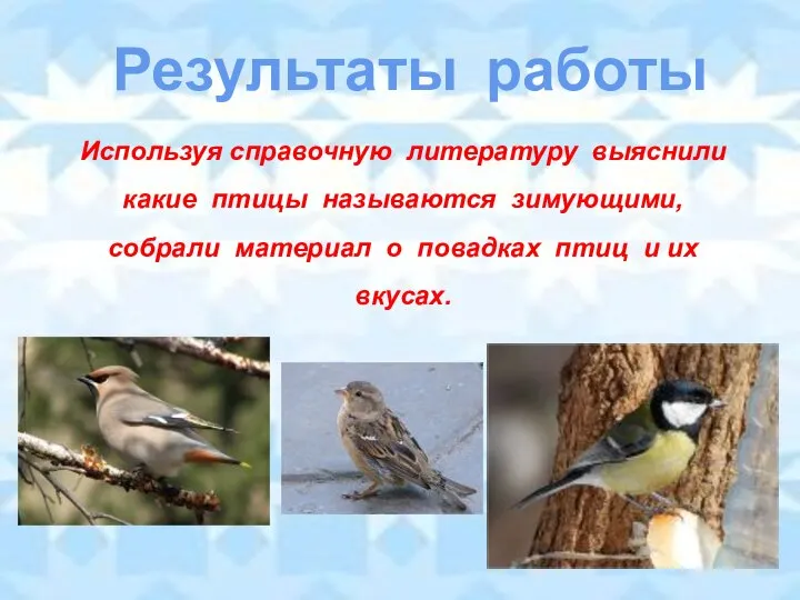 Результаты работы Используя справочную литературу выяснили какие птицы называются зимующими, собрали материал