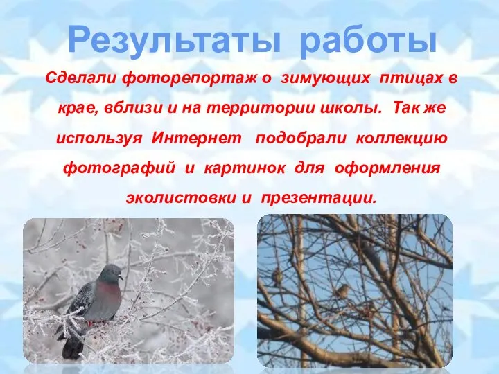 Результаты работы Сделали фоторепортаж о зимующих птицах в крае, вблизи и на