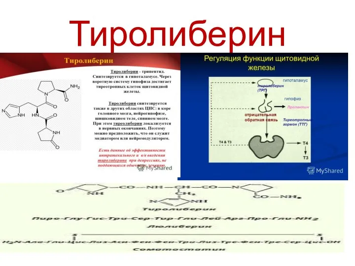 Тиролиберин