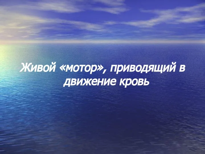 Живой «мотор», приводящий в движение кровь