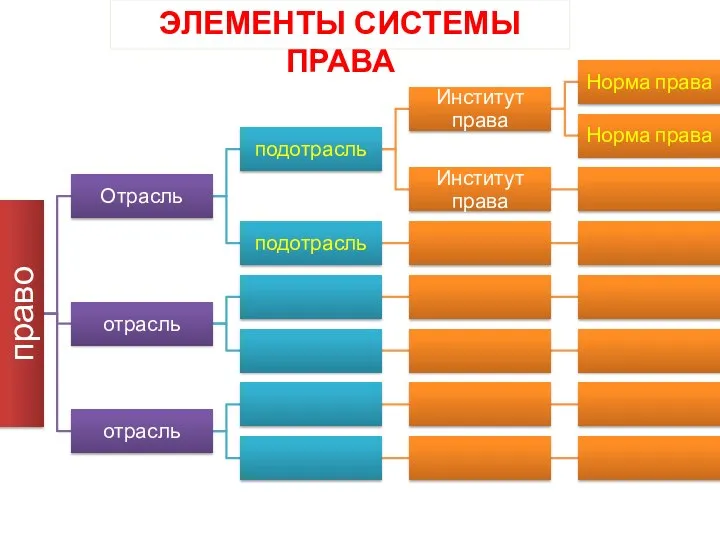 ЭЛЕМЕНТЫ СИСТЕМЫ ПРАВА