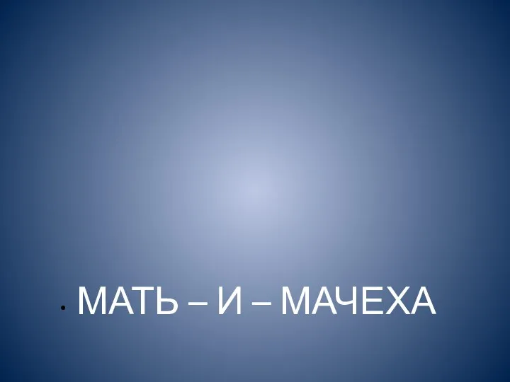 МАТЬ – И – МАЧЕХА