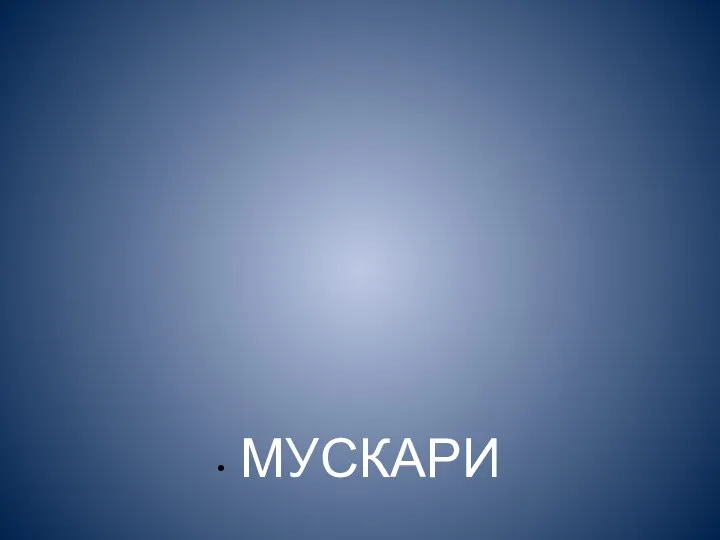 МУСКАРИ