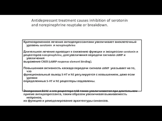 Antidepressant treatment causes inhibition of serotonin and norepinephrine reuptake or breakdown. Кратковременное