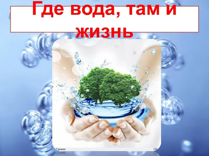 Где вода, там и жизнь