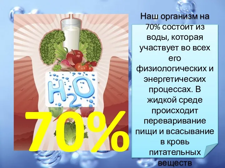 Наш организм на 70% состоит из воды, которая участвует во всех его