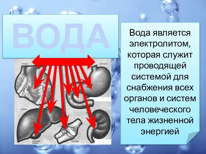 Вода является электролитом, которая служит проводящей системой для снабжения всех органов и