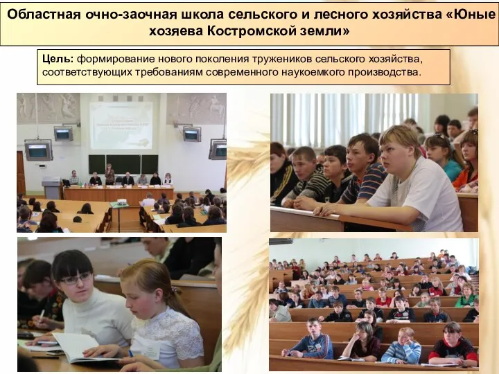 Областная очно-заочная школа сельского и лесного хозяйства «Юные хозяева Костромской земли» Цель: