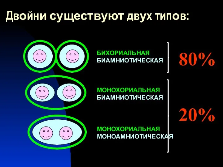 БИХОРИАЛЬНАЯ БИАМНИОТИЧЕСКАЯ МОНОХОРИАЛЬНАЯ БИАМНИОТИЧЕСКАЯ МОНОХОРИАЛЬНАЯ МОНОАМНИОТИЧЕСКАЯ Двойни существуют двух типов: 80% 20%