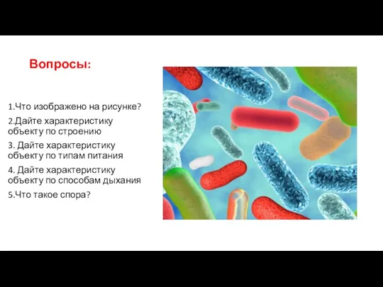 Вопросы: 1.Что изображено на рисунке? 2.Дайте характеристику объекту по строению 3. Дайте