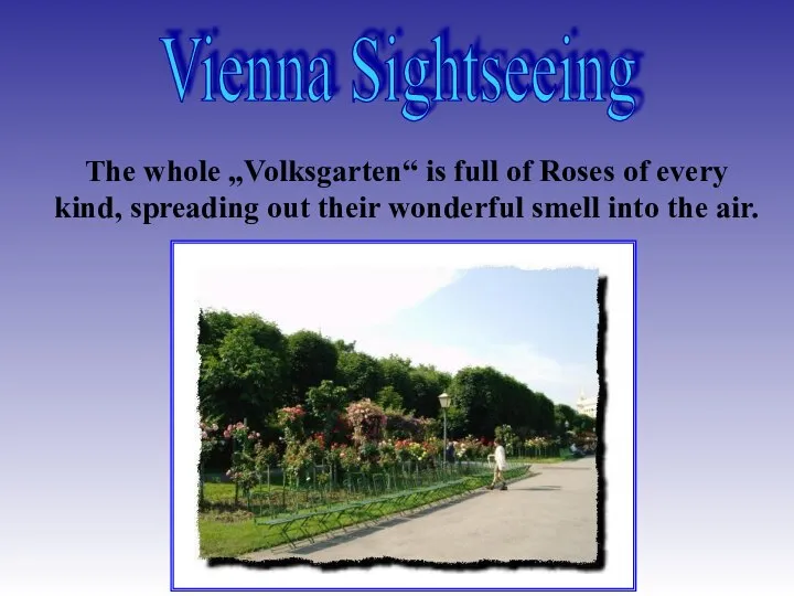 Vienna Sightseeing The whole „Volksgarten“ is full of Roses of every kind,